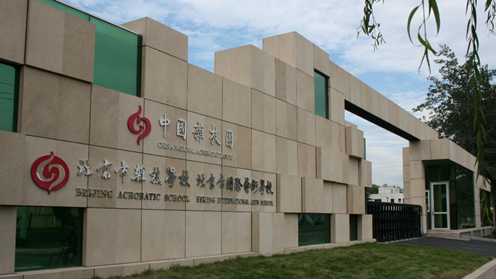 北京市雜技學(xué)校項目